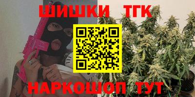 тгк Можга