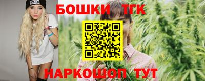 тгк Можга