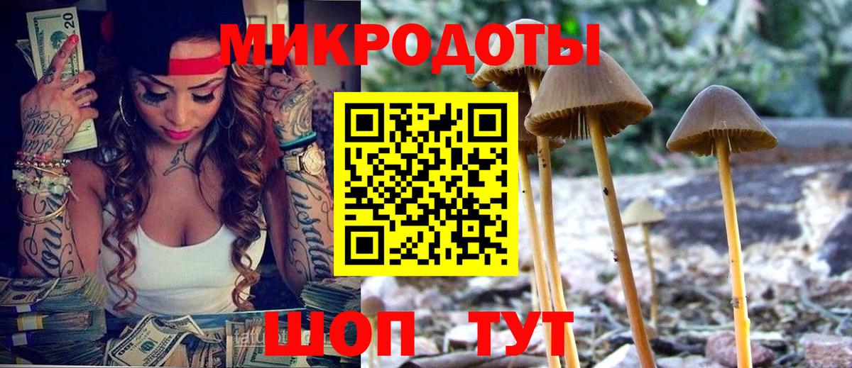 Псилоцибиновые грибы прущие грибы Сосновоборск