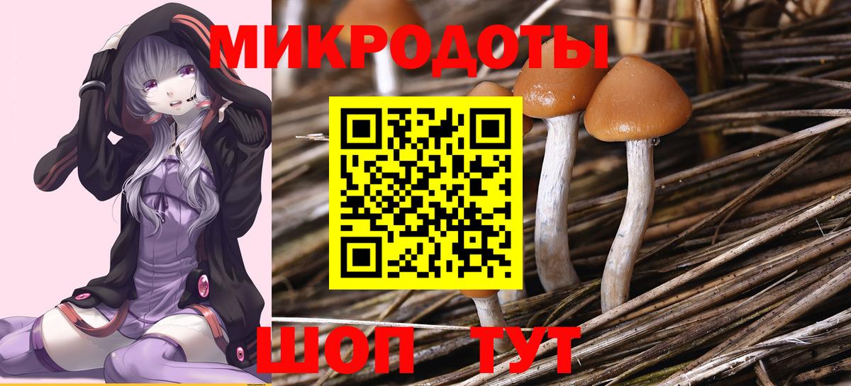 Псилоцибиновые грибы Psilocybine cubensis  Галлюциногенные грибы Magic Shrooms  закладка  Вход с VPN  Сосновоборск 
